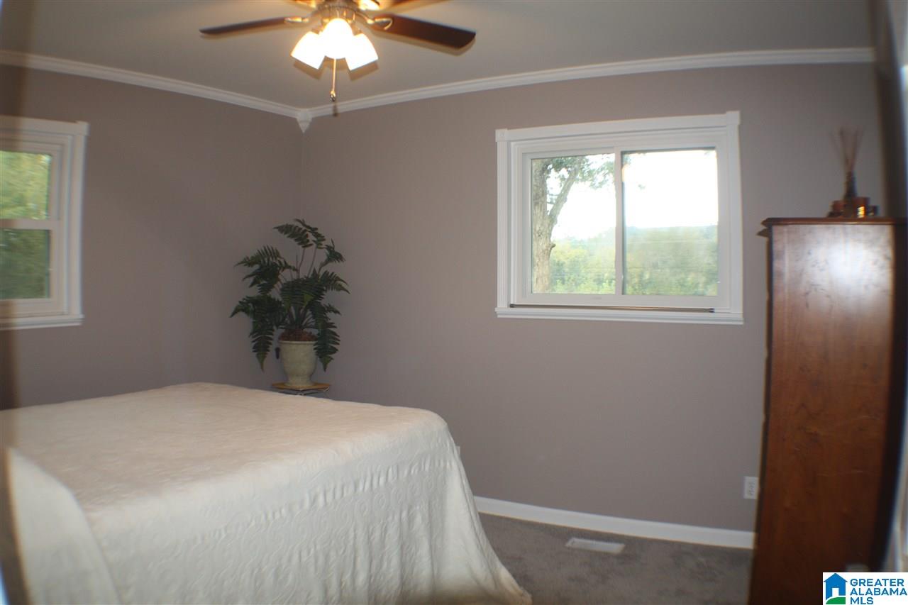 36116 Highway 75 Oneonta, AL 35121 - Photo 20 of 28
