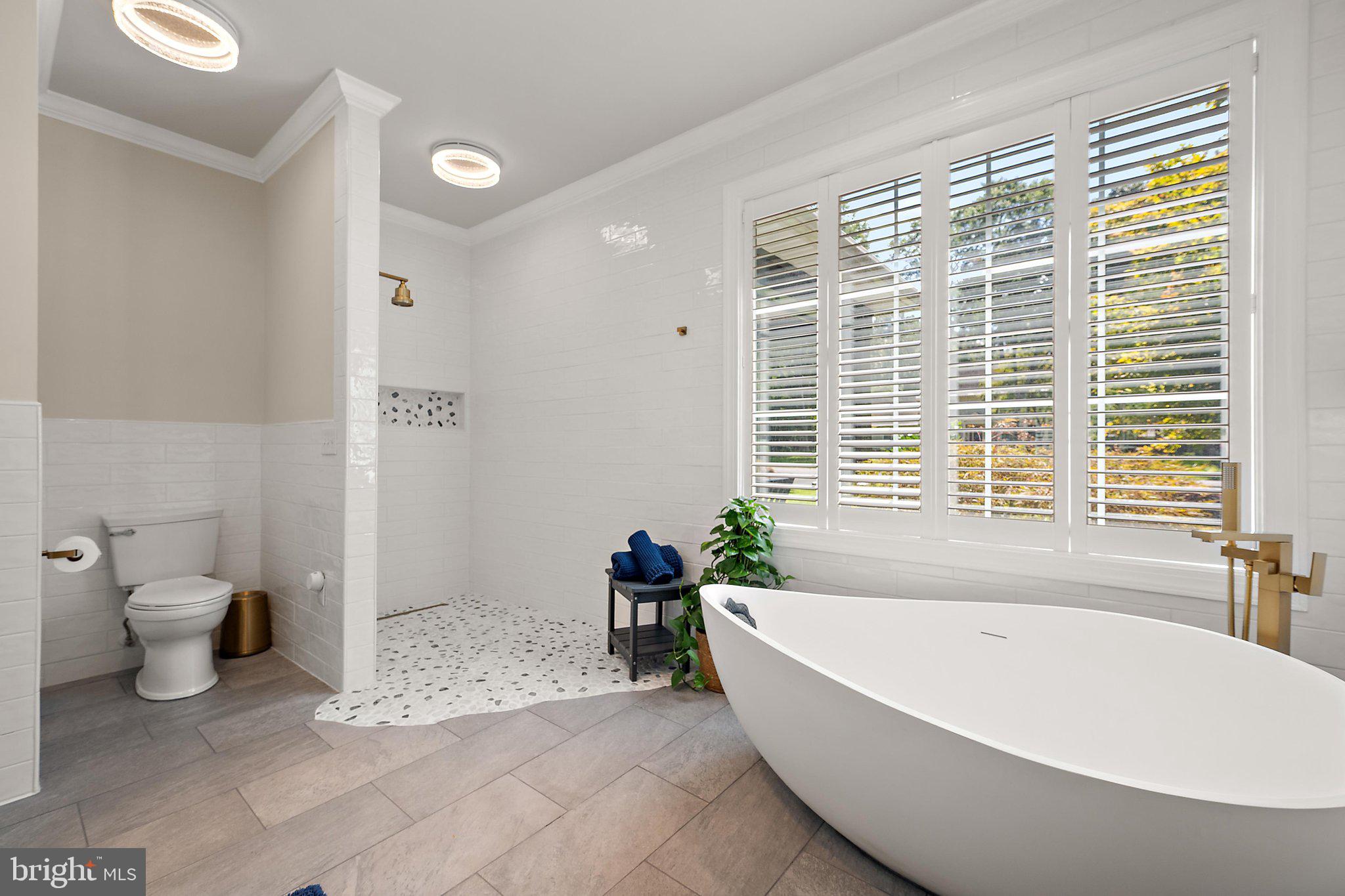 617 Douglas Road Salisbury, MD 21801 - Photo 50 of 111 stone tub and walk-in shower