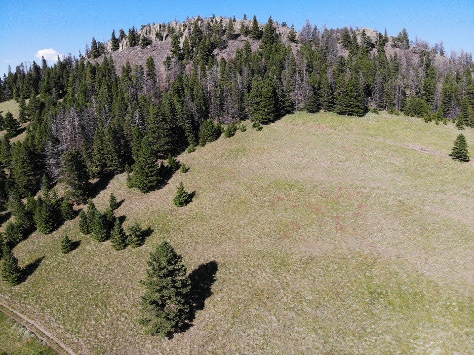Tbd Outer Loop Road Cascade, MT 59421 - Photo 5 of 20 Gallery Image 5