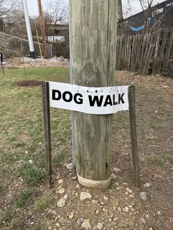 a view of water fountain with tall trees