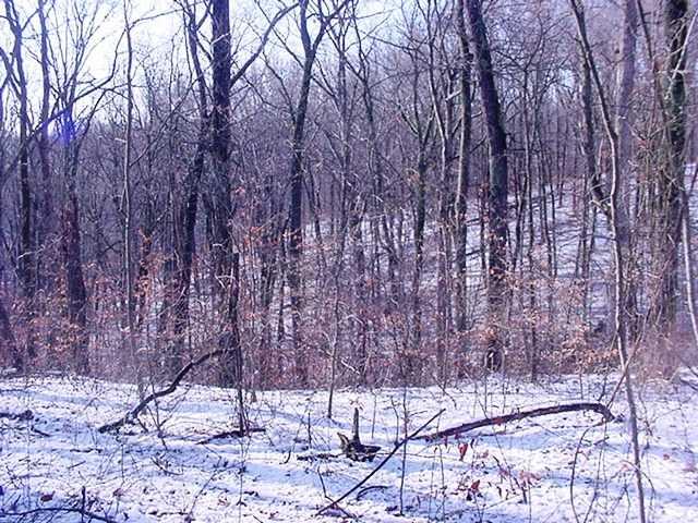 2609 Tulip Tree Road Nashville, IN 47448 - Photo 2 of 6 Gallery Image 2