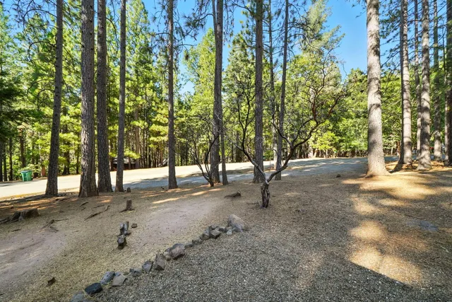 a view of road and trees