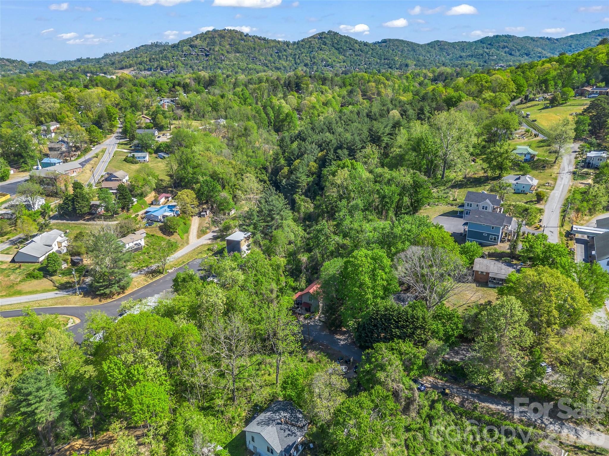 3 Ravine Extension Woodfin, NC 28804 - Photo 41 of 44