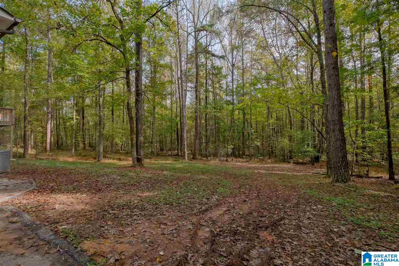 8479 Marsh Mountain Road Pinson, AL 35126 - Photo 30 of 35