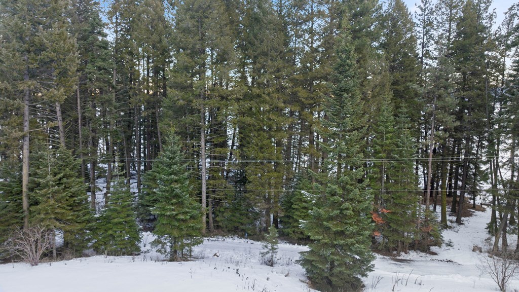 616-618 Teepee Road, Unit 25 & 28 Cascade, ID 83611 - Photo 7 of 14