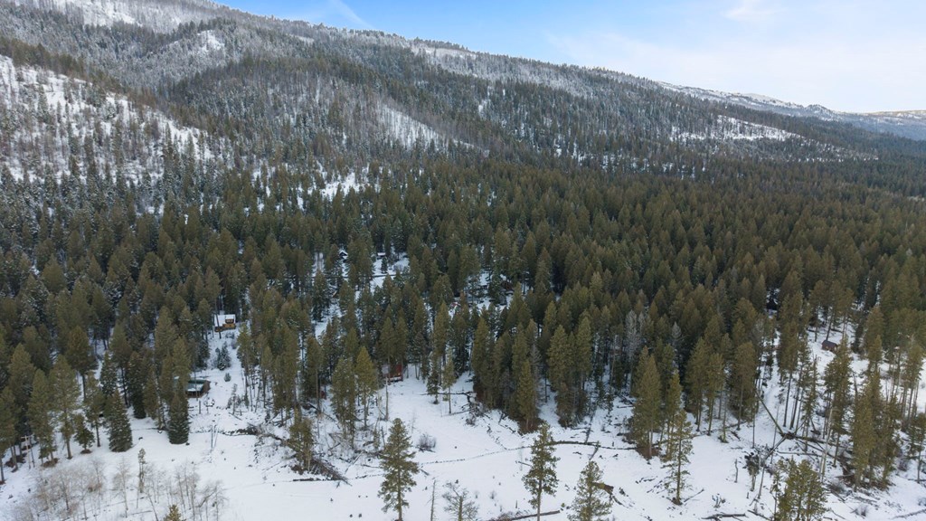 616-618 Teepee Road, Unit 25 & 28 Cascade, ID 83611 - Photo 10 of 14