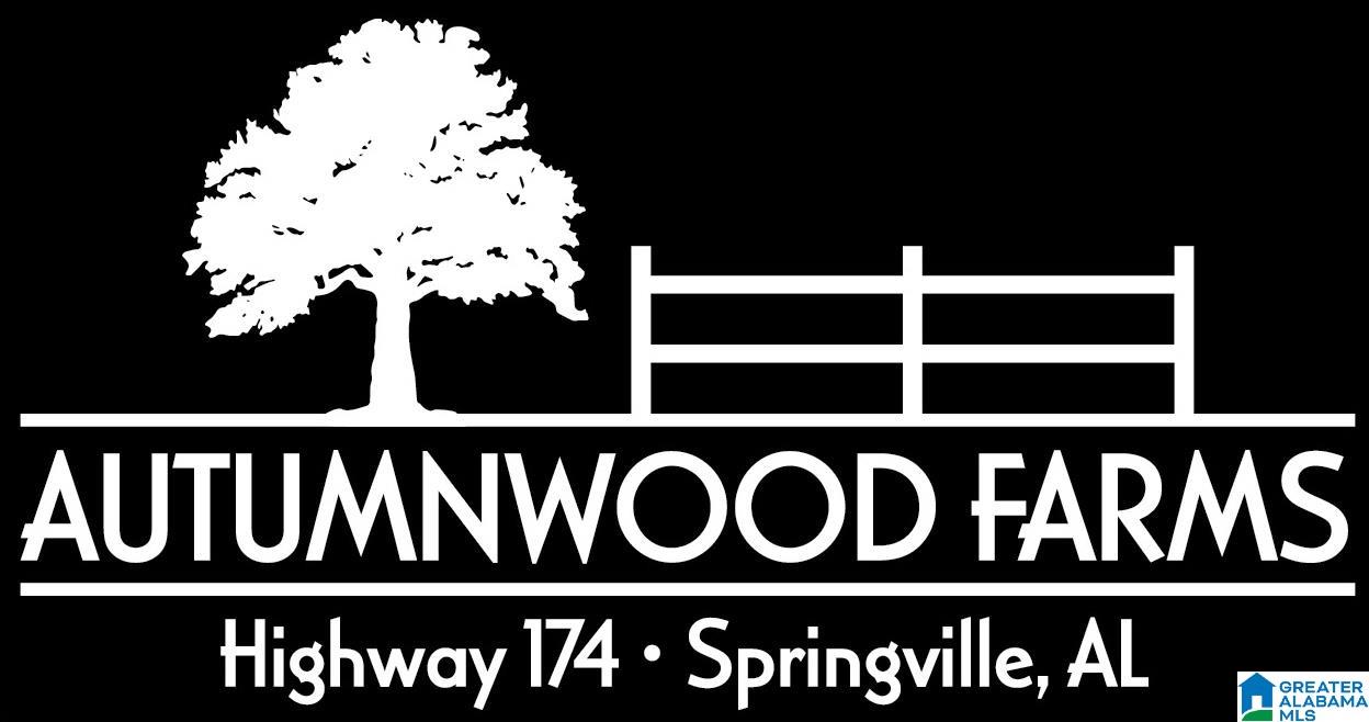 6405 Highway 174, Unit TRACT 2 Springville, AL 35146 - Photo 10 of 14