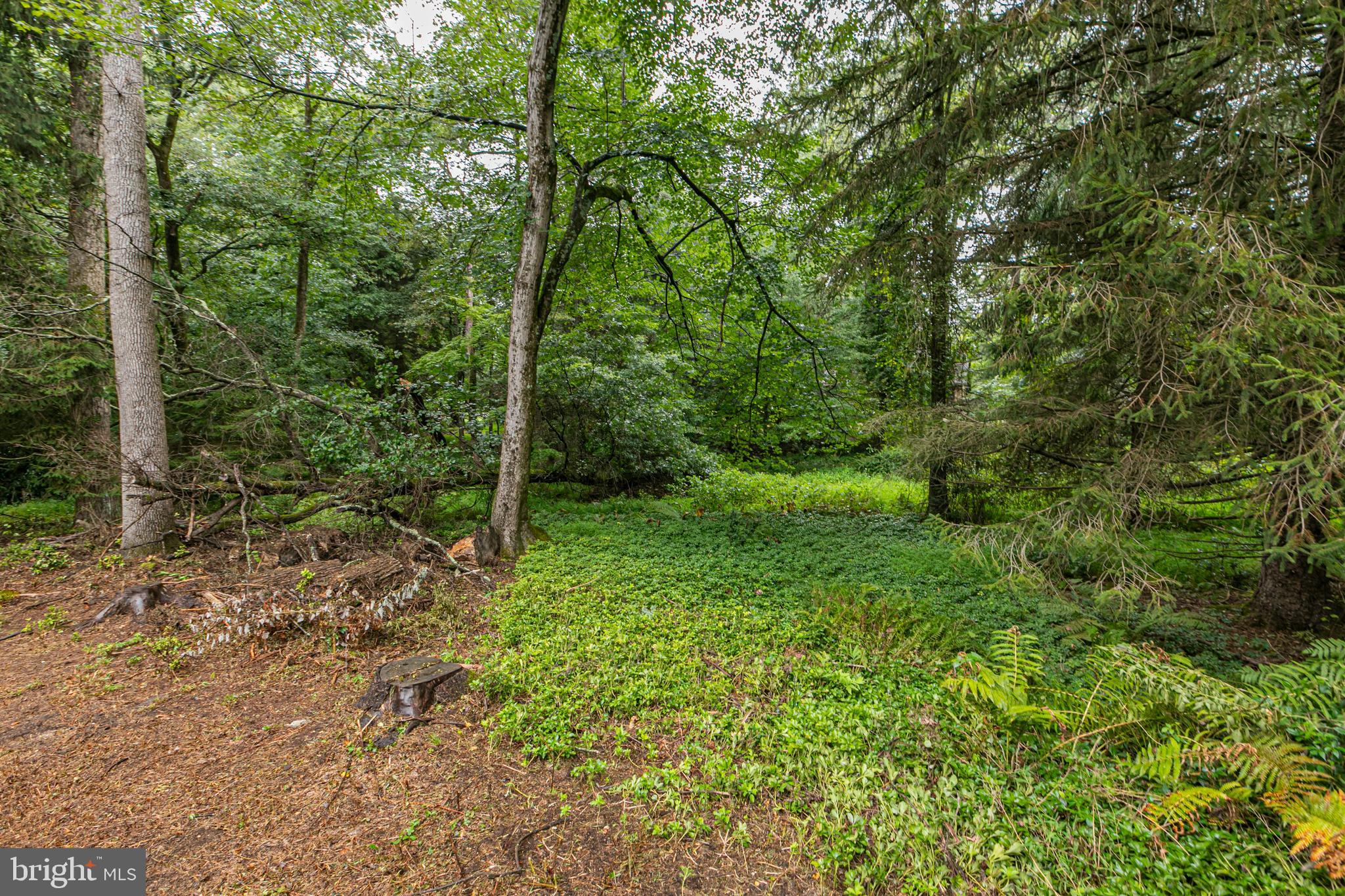 63 North Mill Road Princeton Junction, NJ 08550 - Photo 24 of 29 a view of outdoor space and garden