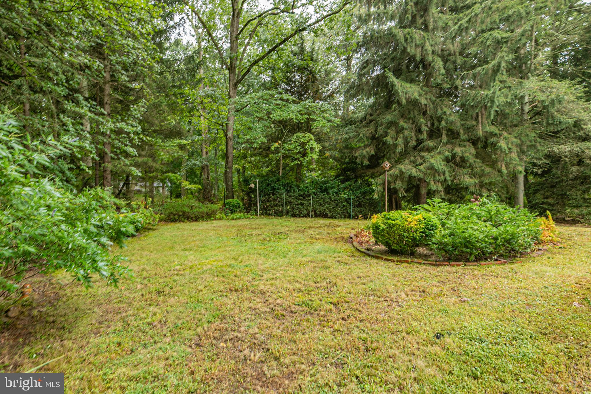 63 North Mill Road Princeton Junction, NJ 08550 - Photo 25 of 29 a view of a garden