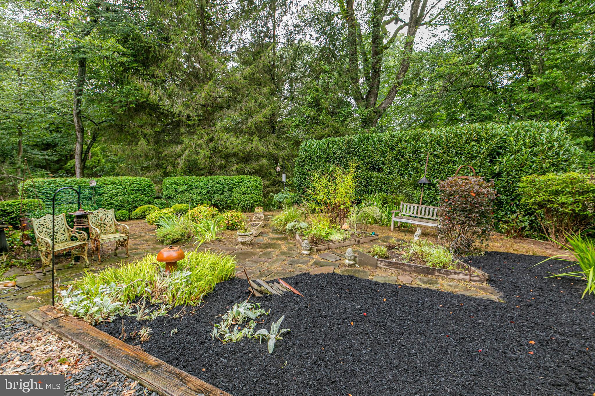 63 North Mill Road Princeton Junction, NJ 08550 - Photo 26 of 29 a view of a garden with plants