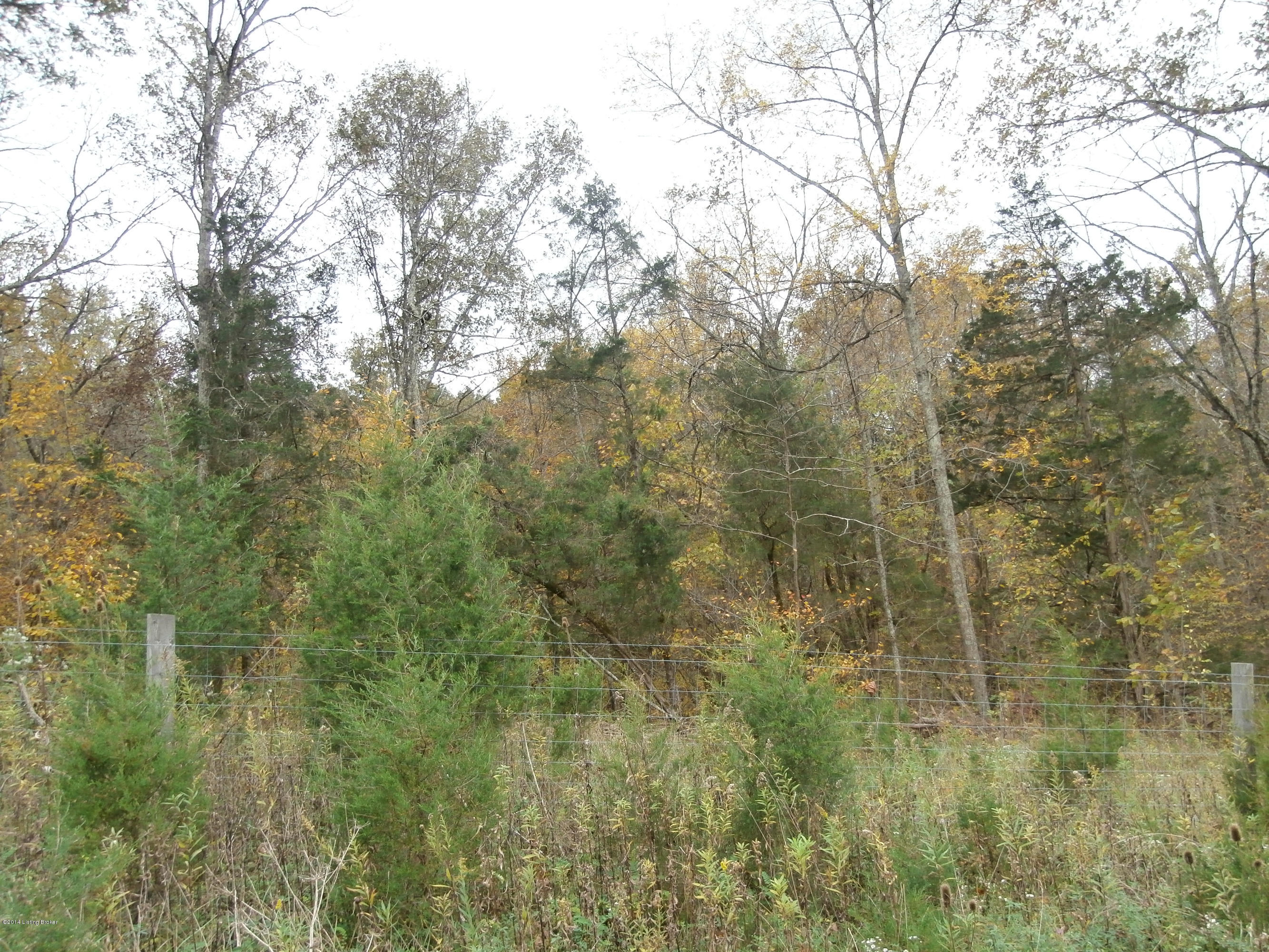 1701 Jacksonville Road Bagdad, KY 40003 - Photo 7 of 13 PA210049