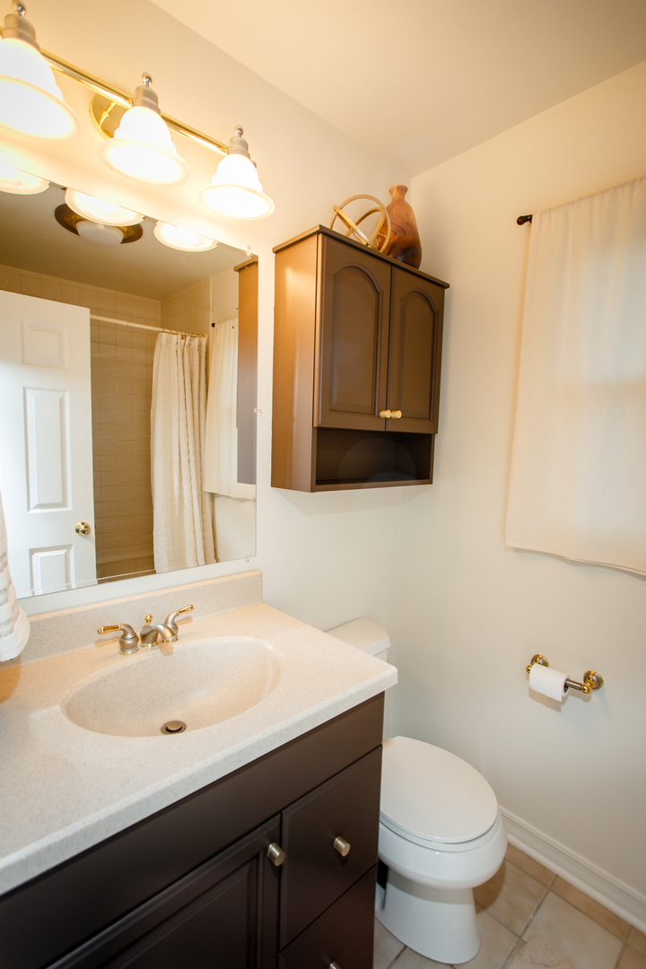25 Mulberry Road Deerfield, IL 60015 - Photo 47 of 63 a bathroom with a sink toilet and mirror
