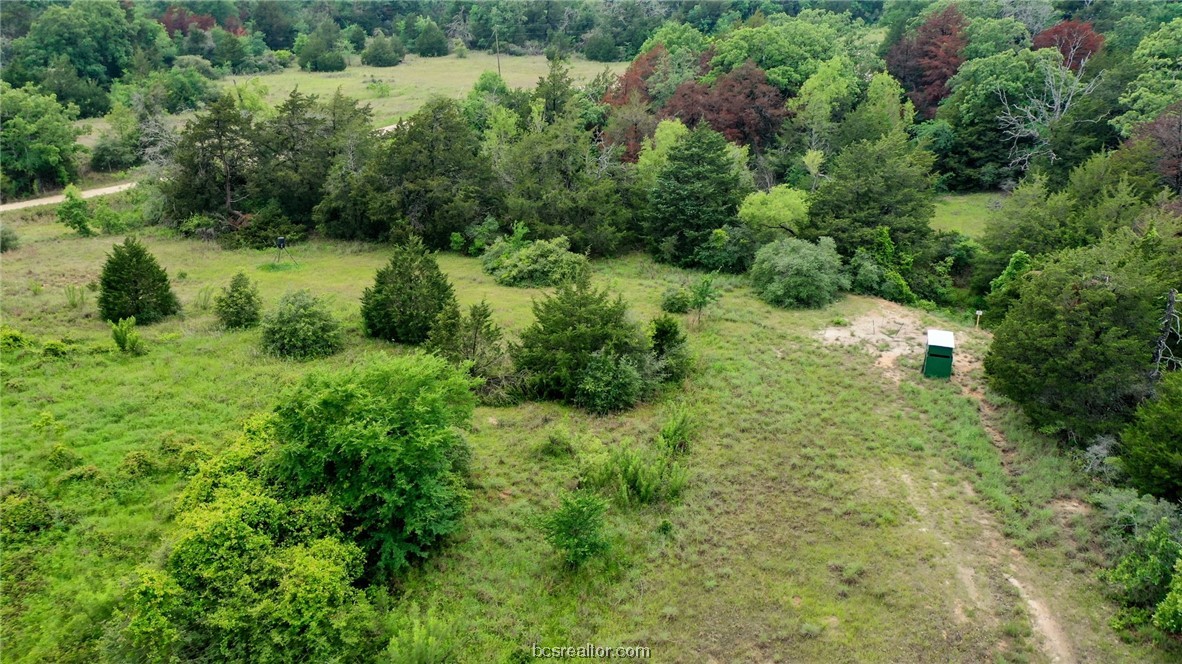 5787 Fm 937 Road Groesbeck, TX 76642 - Photo 1 of 1 a view of a lush green forest with lots of trees