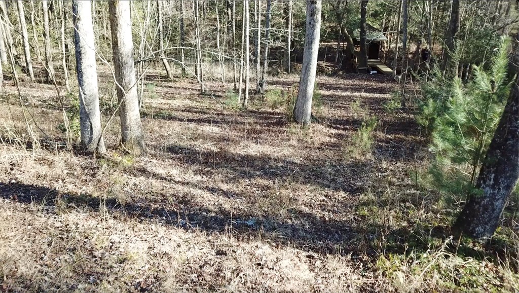 6-7 Idle Lane Blue Ridge, GA 30513 - Photo 10 of 27 Drive