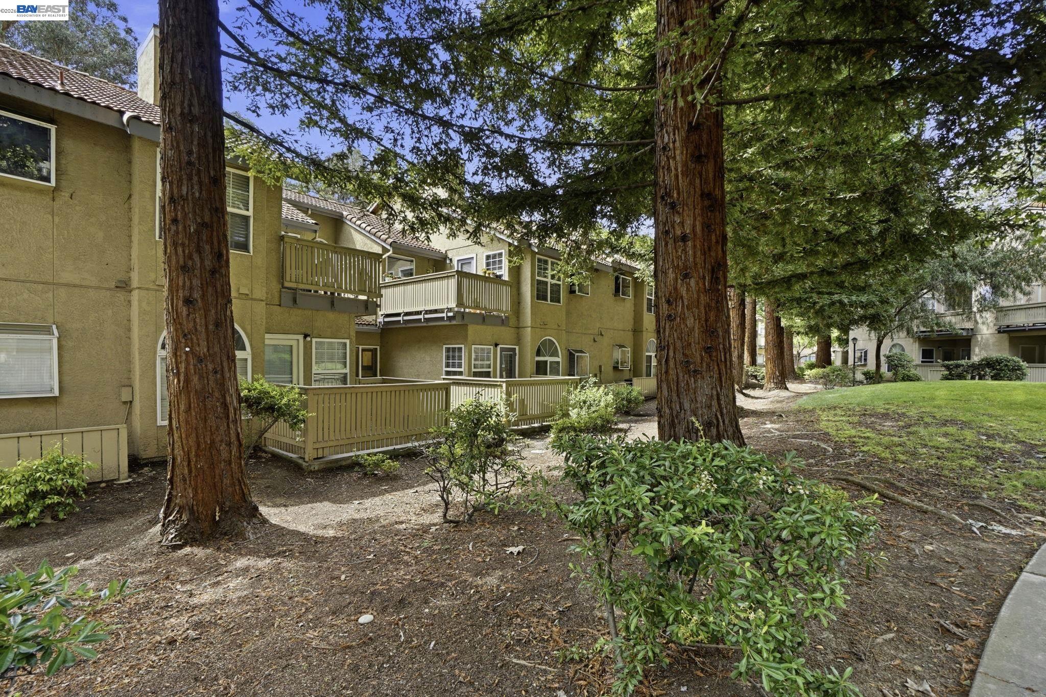 1405 Forest Run Hercules, CA 94547 - Photo 26 of 26 a backyard of a house with outdoor seating and trees