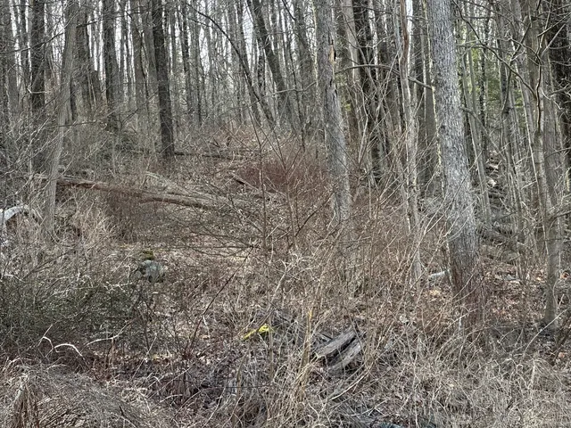 a view of backyard with wooden fence