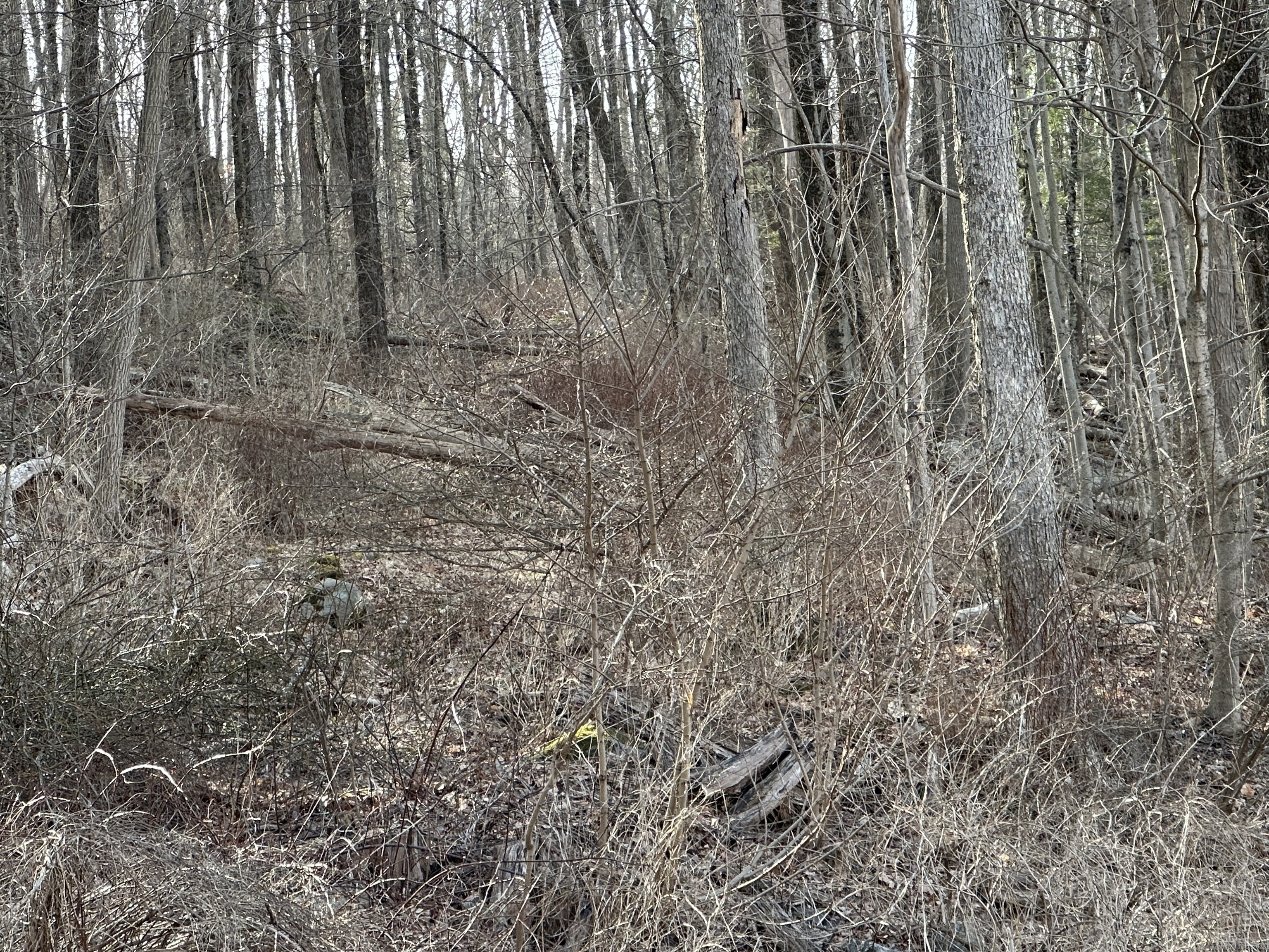 0 Torrington Road Litchfield, CT 06759 - Photo 2 of 6 a view of backyard with wooden fence