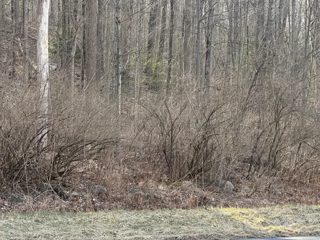 a view of wooden fence