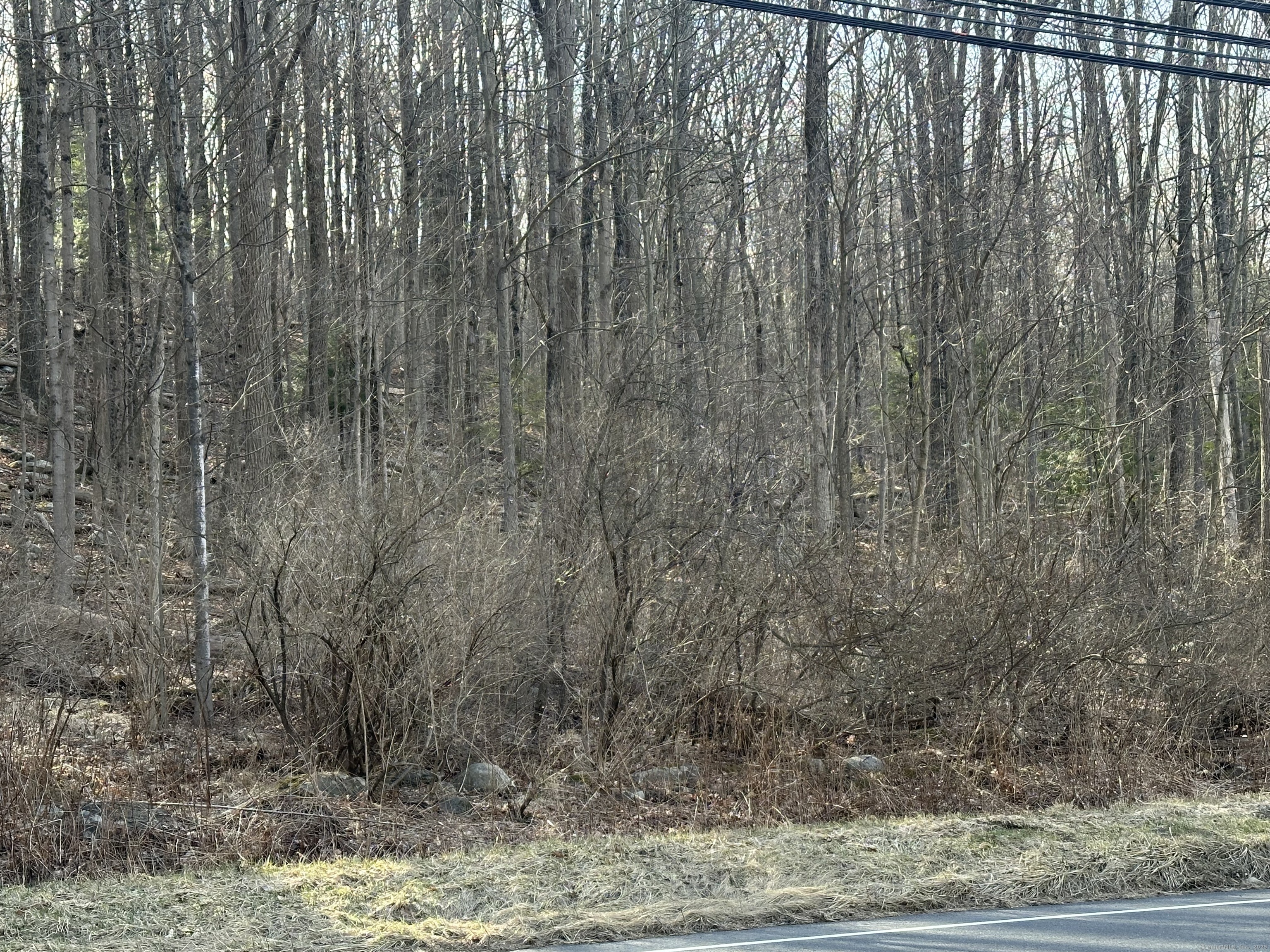 0 Torrington Road Litchfield, CT 06759 - Photo 4 of 6