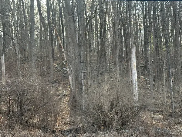 $198,500 | 0 Torrington Road, Litchfield, CT 06759