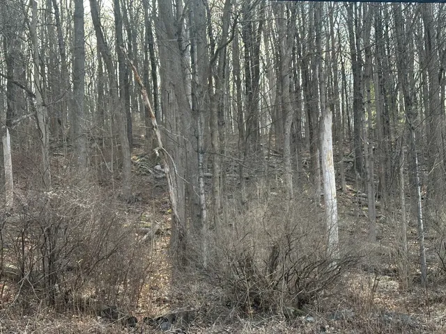 $198,500 | 0 Torrington Road, Litchfield, CT 06759