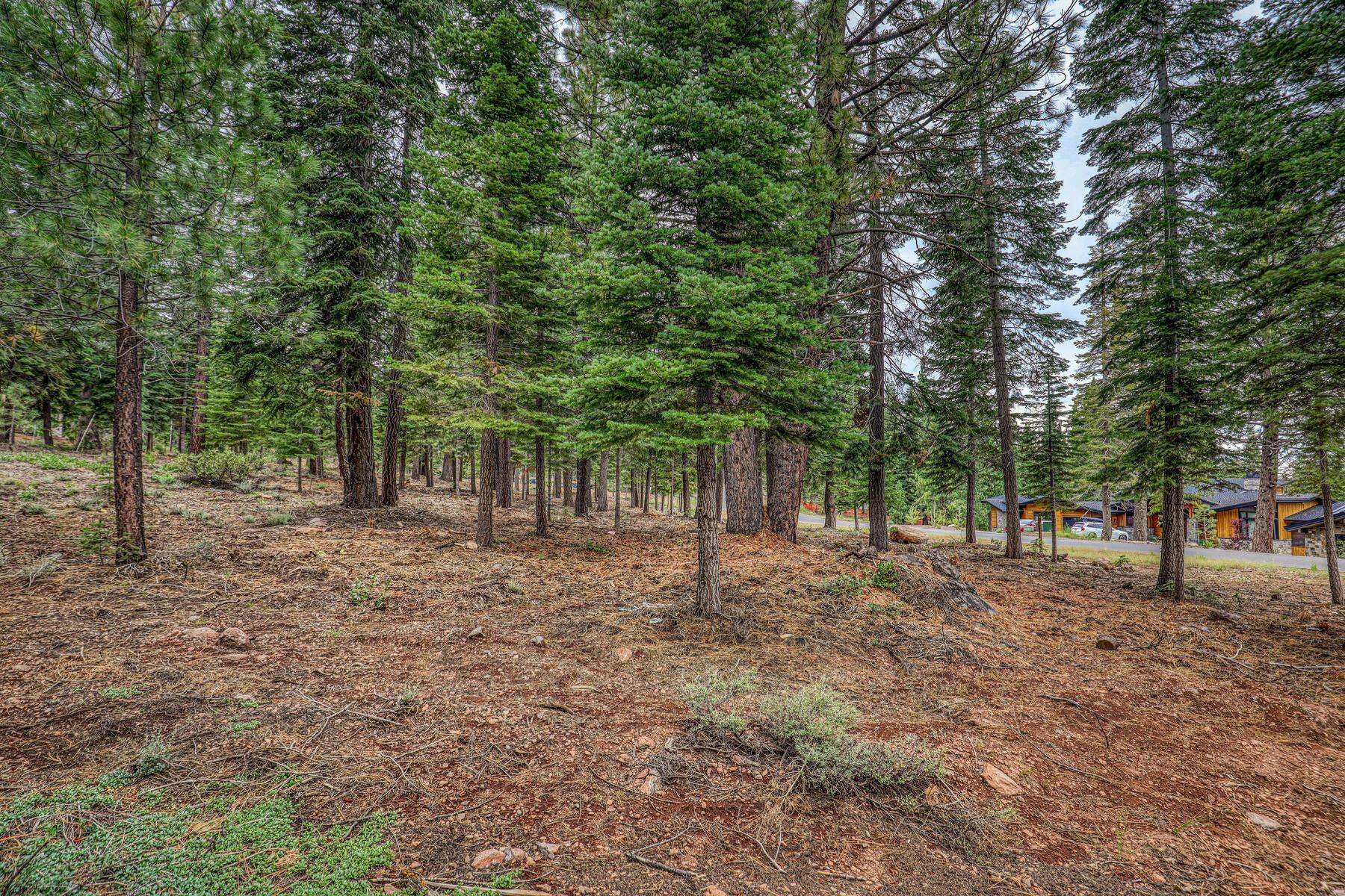 9270 Brae Road Truckee, CA 96161 - Photo 4 of 16
