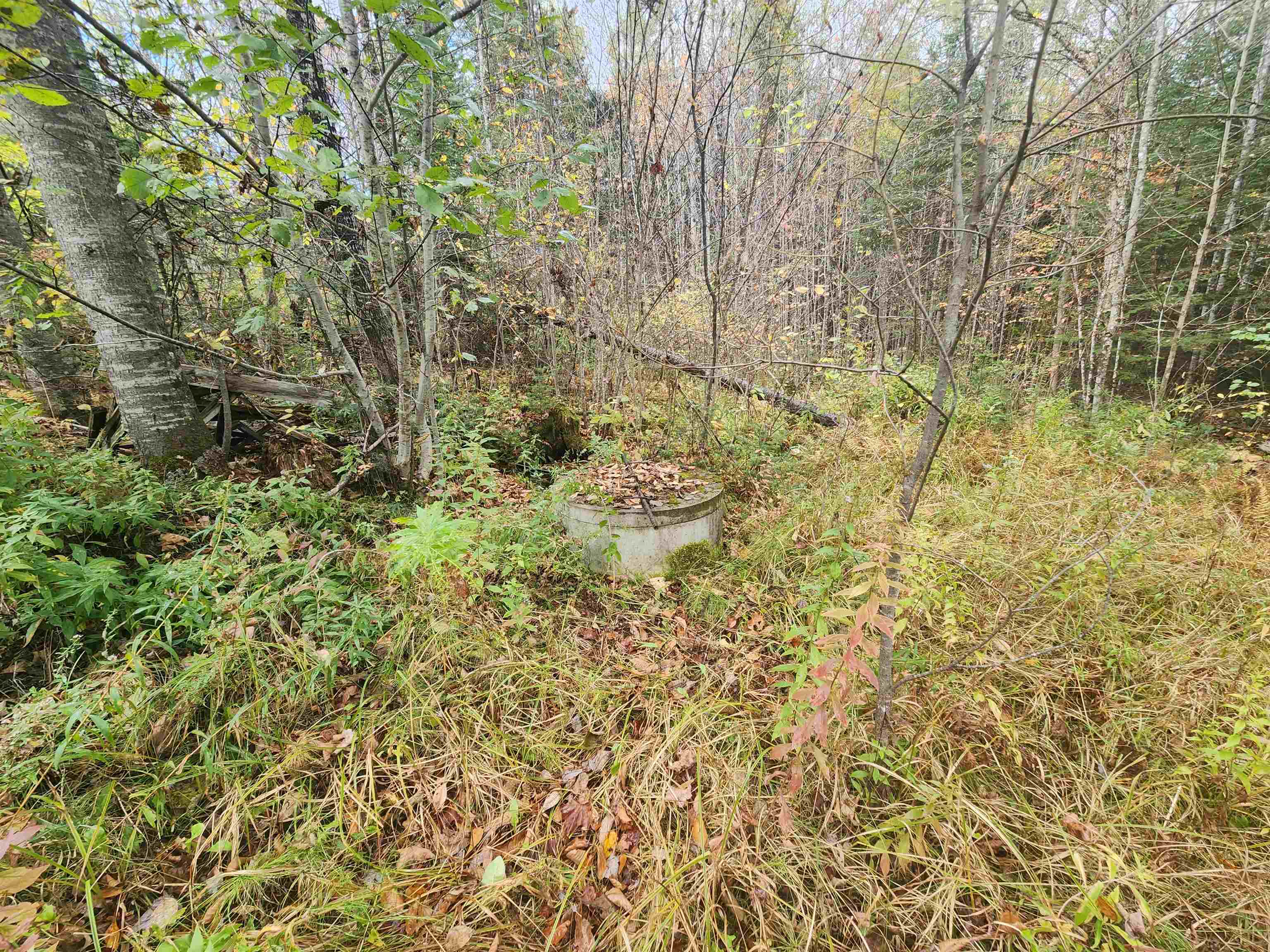1531 Ladd Road Concord, VT 05824 - Photo 23 of 39 Gallery Image 23