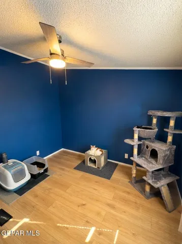 a view of walk in closet