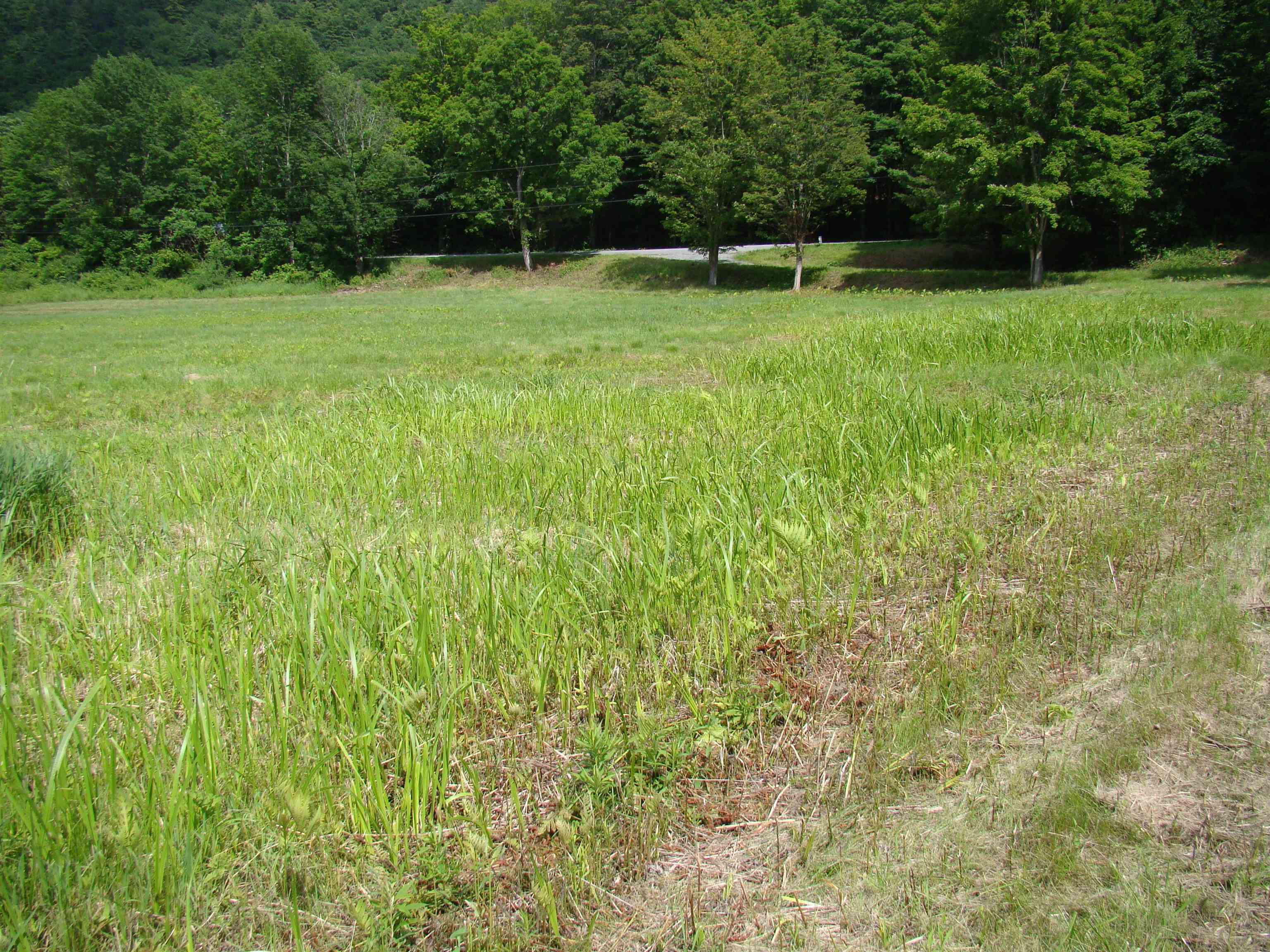 764 Thrall Road Poultney, VT 05764 - Photo 18 of 23