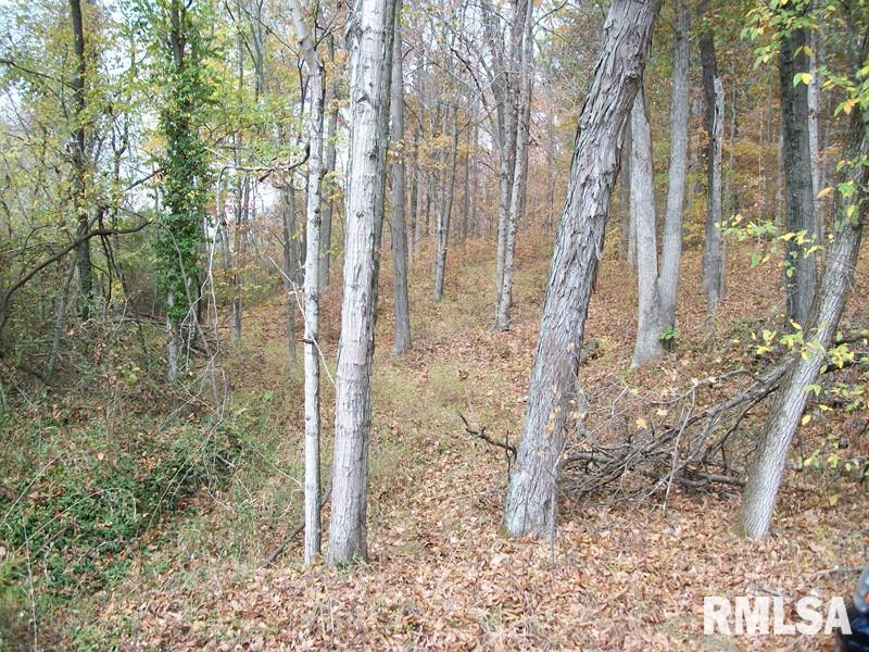 0 Green Road Murphysboro, IL 62966 - Photo 2 of 2