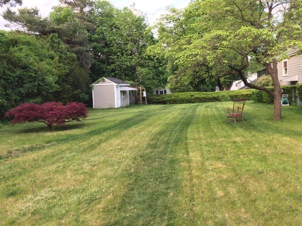 85 Alba Road Wellesley, MA 02481 - Photo 12 of 13