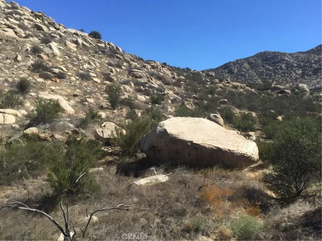 a view of a dry yard