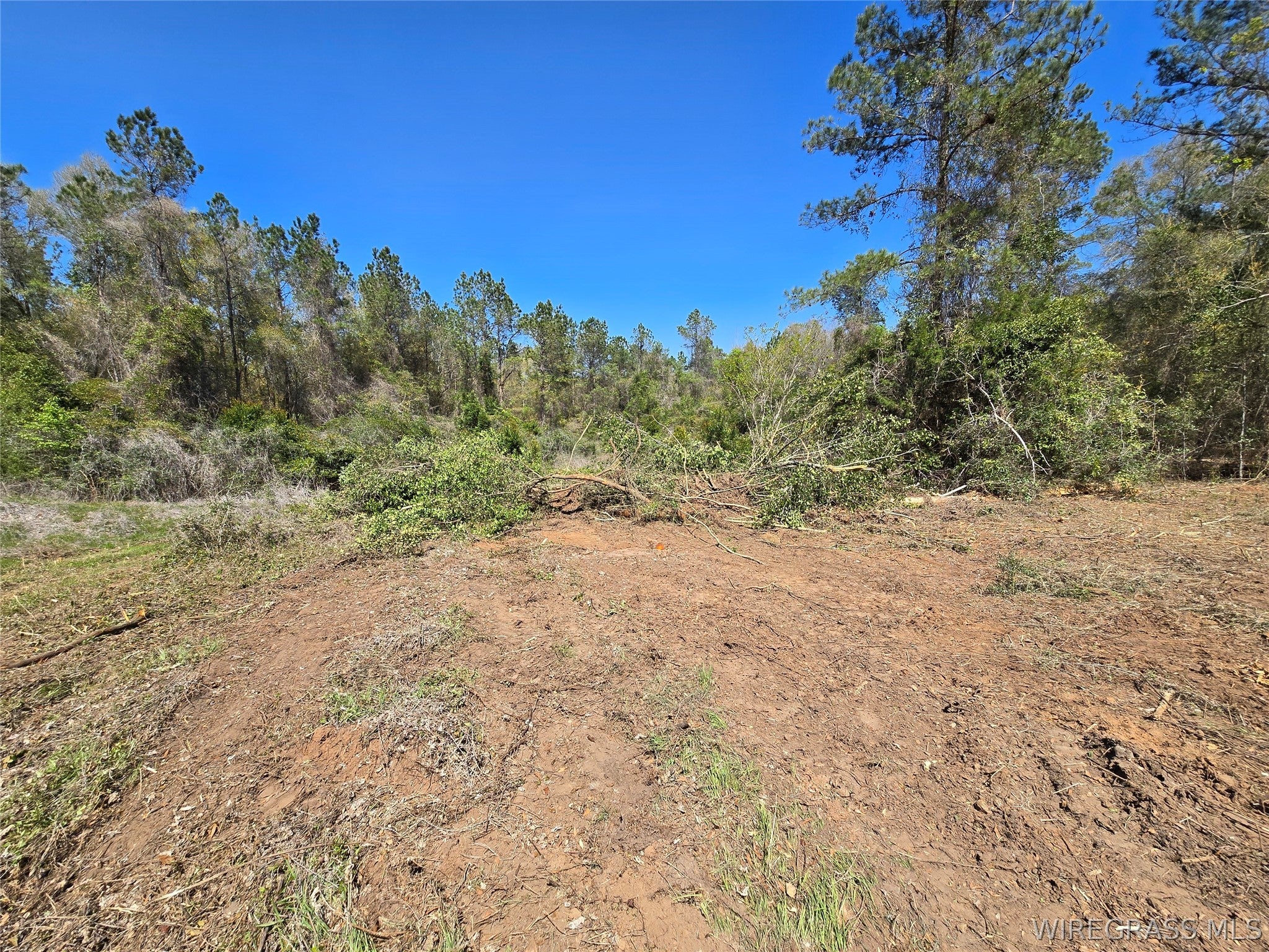 0 Will Logan Road Ozark, AL 36360 - Photo 36 of 44 Gallery Image 36