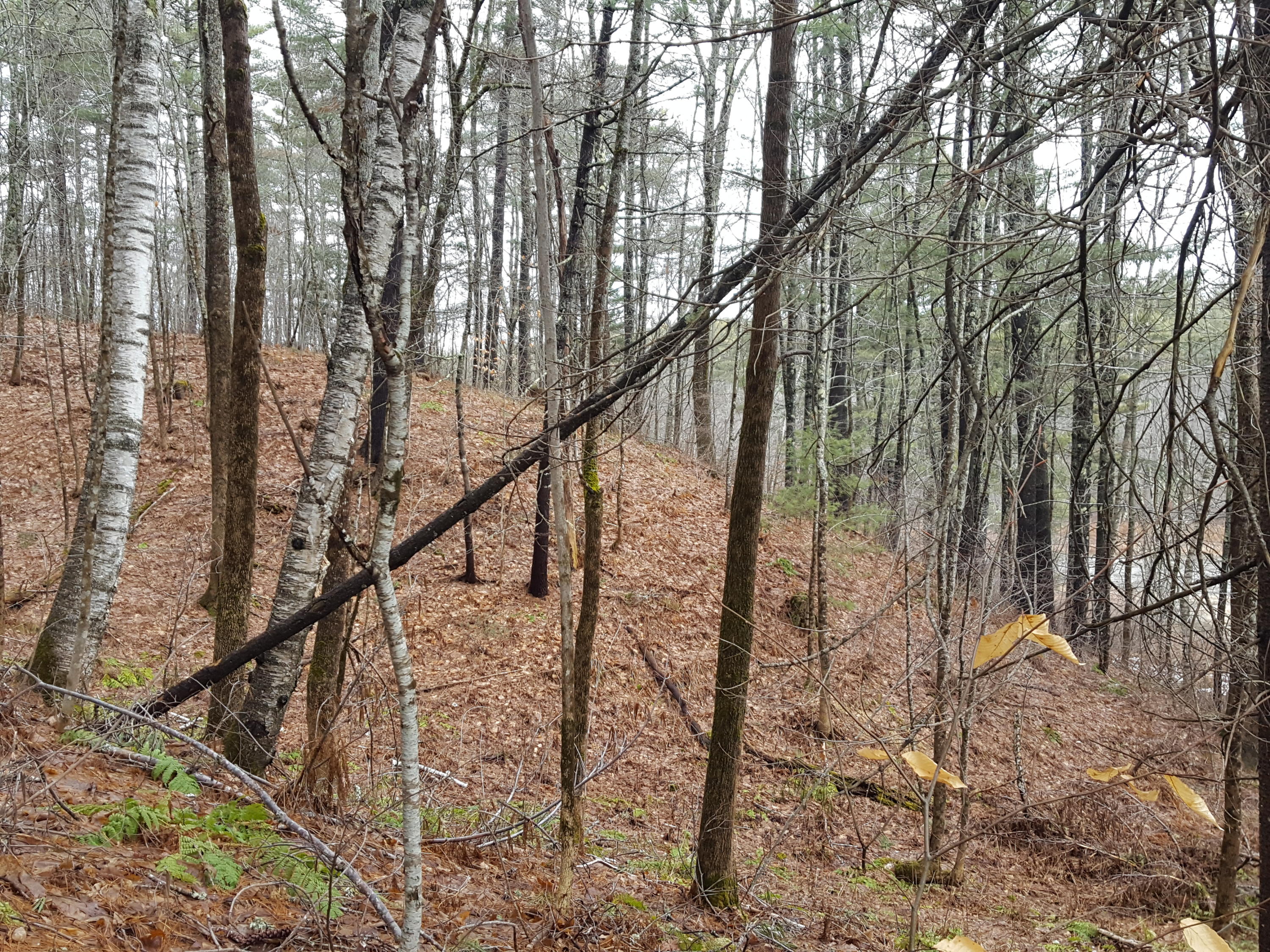 2200 Alna Road Alna, ME 04535 - Photo 57 of 59 20210117_104952