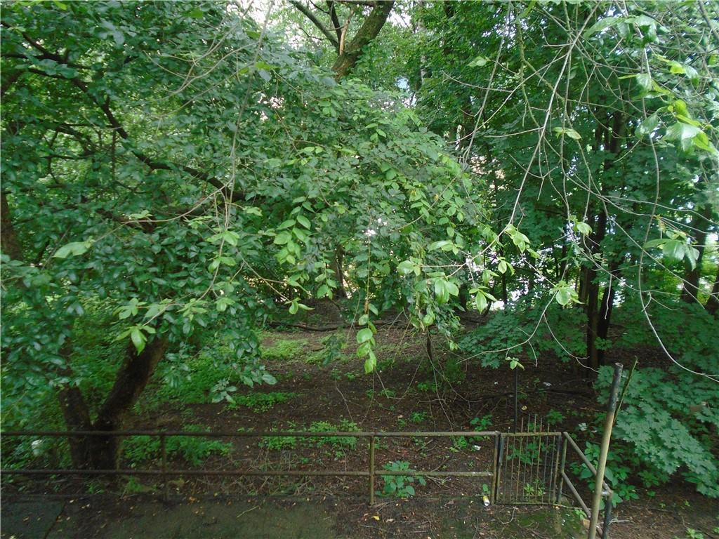 207 Locust Street Ambridge, PA 15003 - Photo 19 of 19 a view of a yard