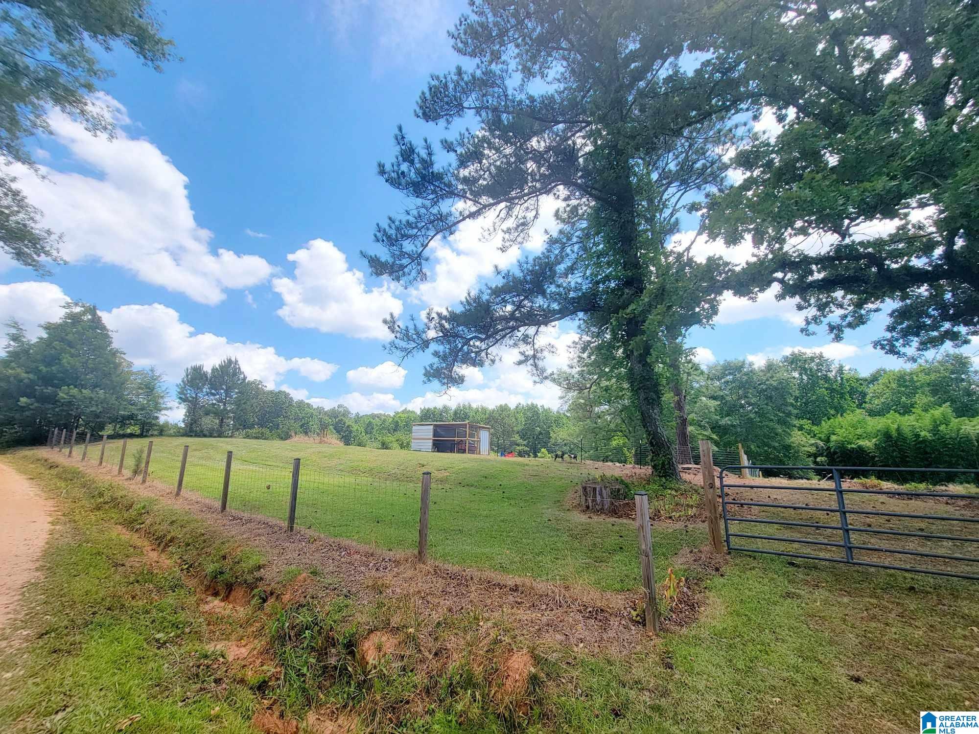 156 County Road 289 Wedowee, AL 36278 - Photo 44 of 53