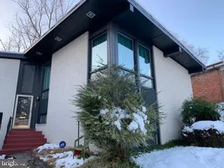 a view of backyard with potted plants
