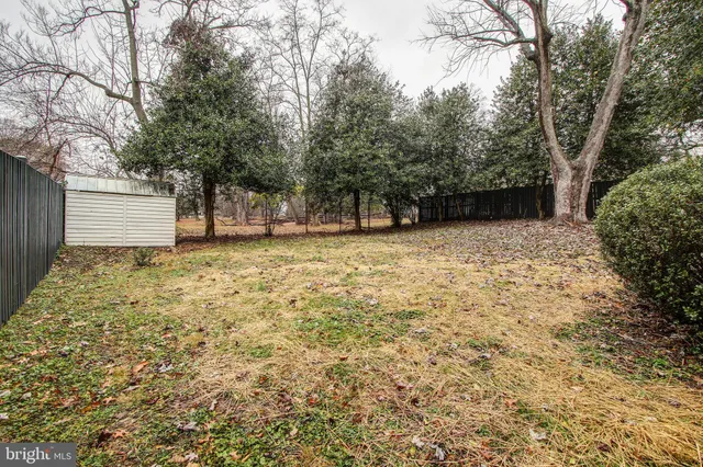 a view of a yard with trees