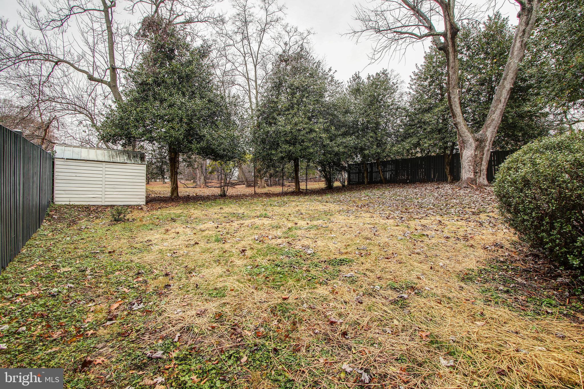 6006 28th Street Northwest Washington, DC 20015 - Photo 28 of 30 a view of a yard with trees