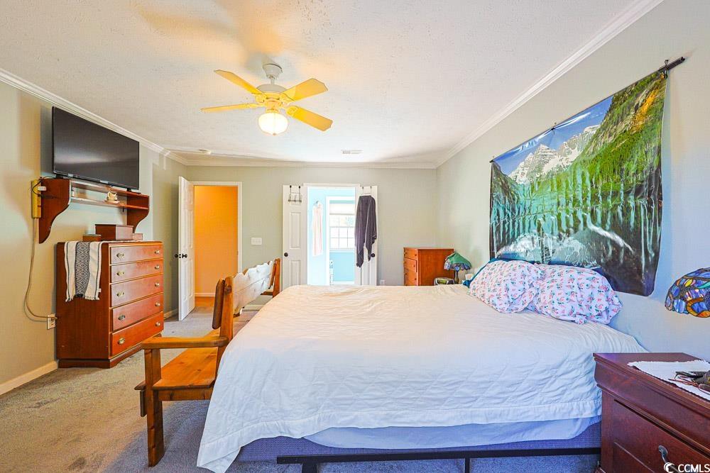 2033 Chadbury Lane Myrtle Beach, SC 29588 - Photo 15 of 39 Carpeted bedroom with ornamental molding and ceiling fan
