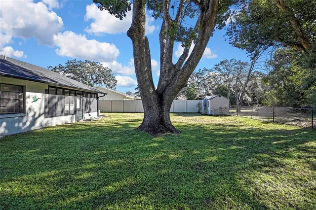 a view of a house with backyard and a tree