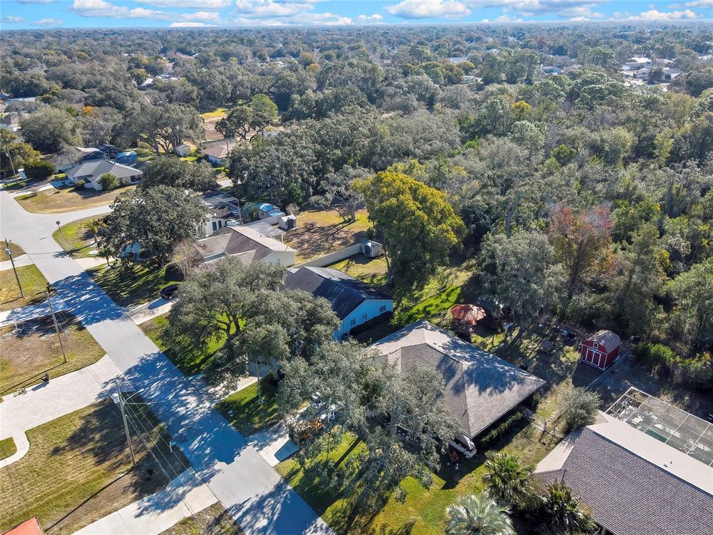 2274 Danforth Road Spring Hill, FL 34608 - Photo 44 of 48