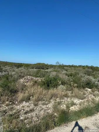 a view of a lake in middle of forest