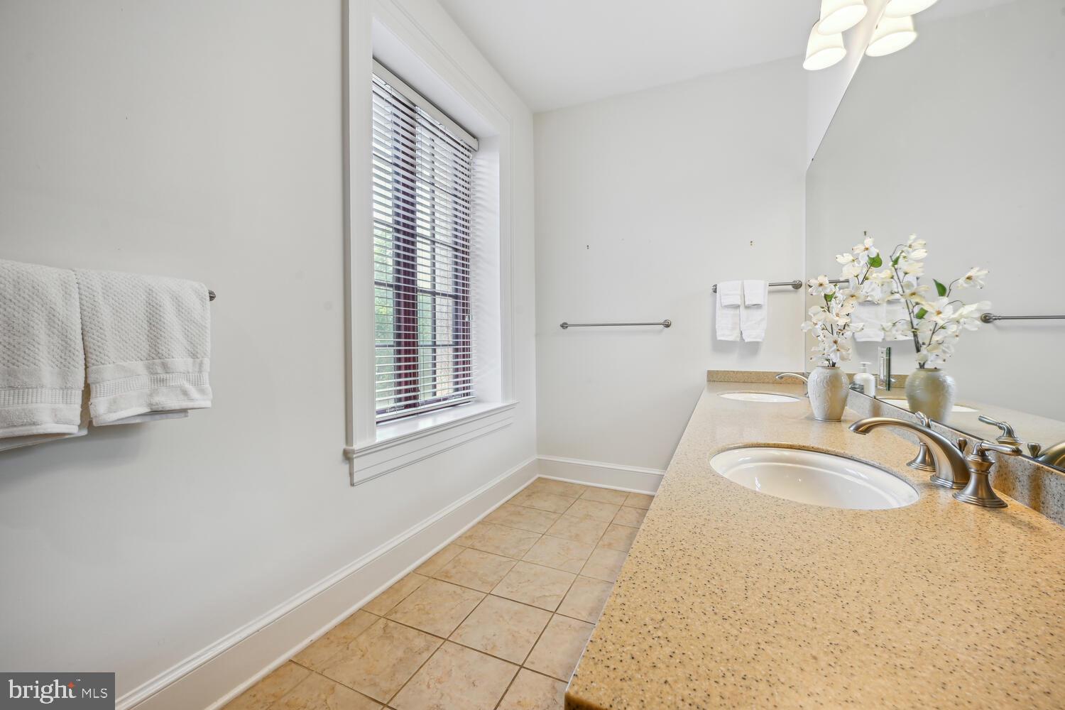 9610 Dewitt Drive, Unit B414 Silver Spring, MD 20910 - Photo 19 of 31 Double bowl sink vanity primary suite