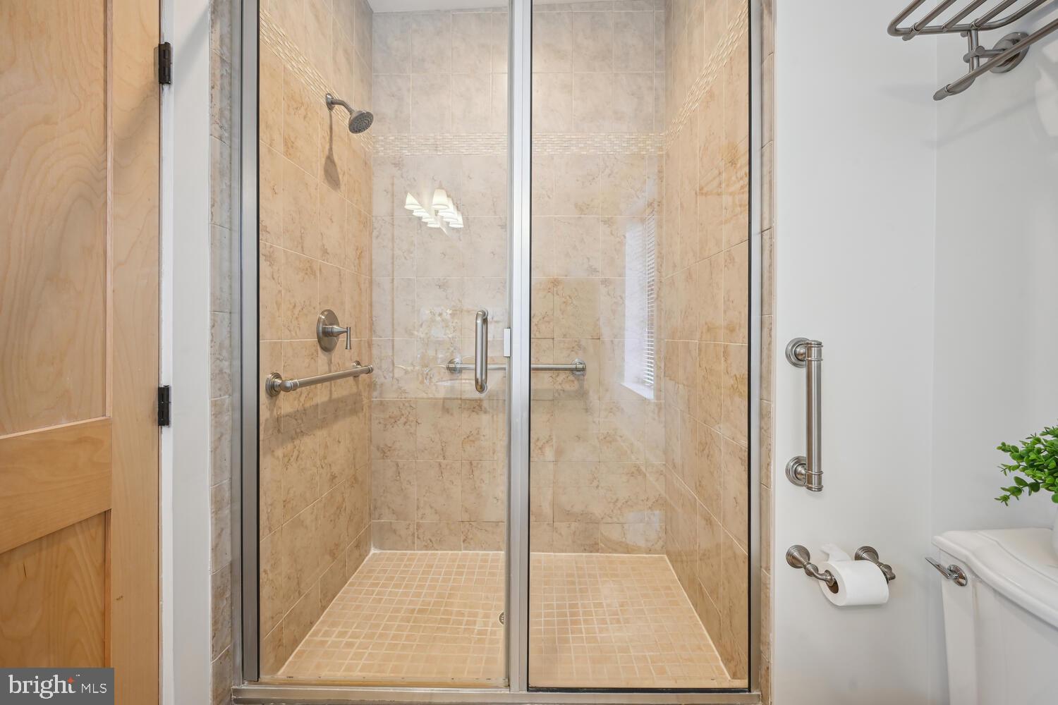 9610 Dewitt Drive, Unit B414 Silver Spring, MD 20910 - Photo 20 of 31 Luxurious shower