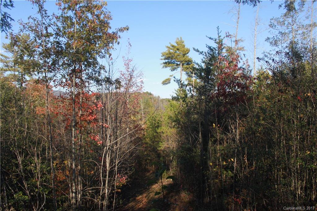 3539 Rambling Road, Unit 2 Morganton, NC 28655 - Photo 2 of 24 Gallery Image 2