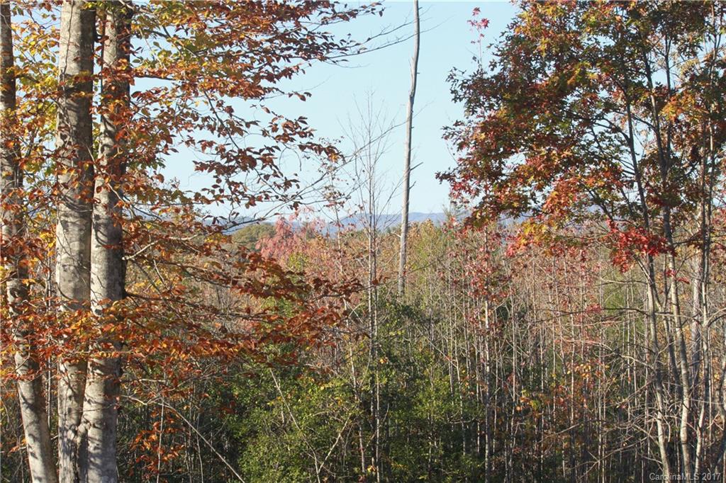 3539 Rambling Road, Unit 2 Morganton, NC 28655 - Photo 17 of 24 Gallery Image 17