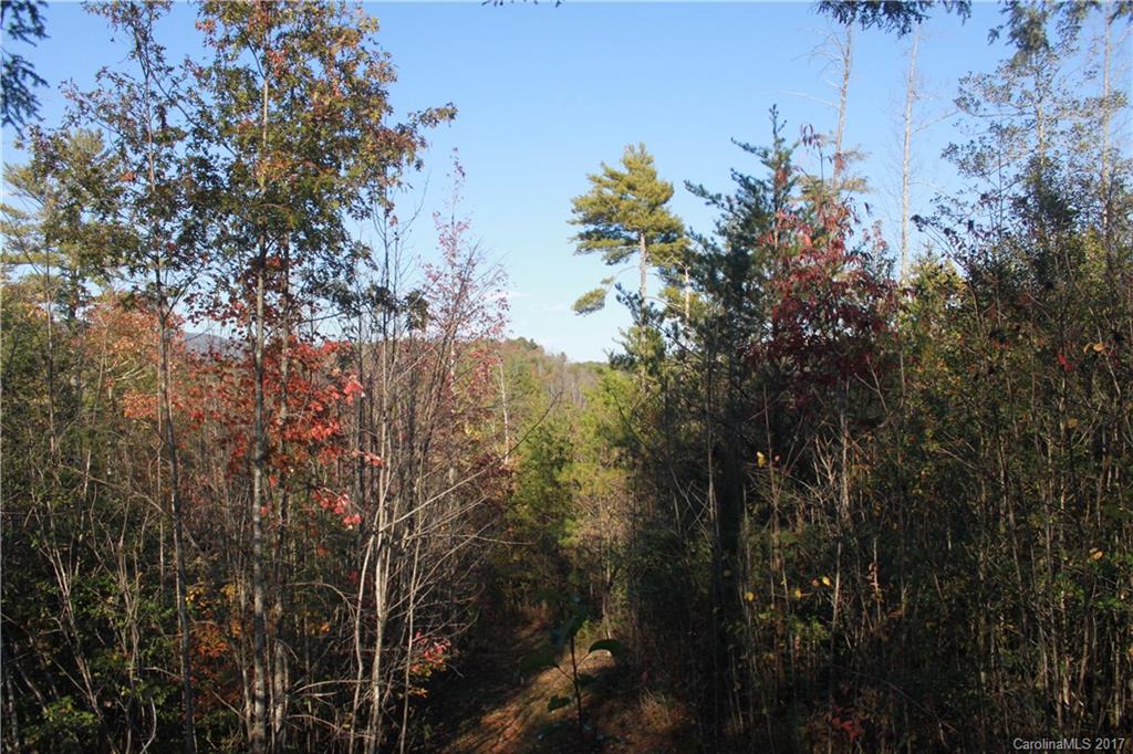 3539 Rambling Road, Unit 2 Morganton, NC 28655 - Photo 6 of 24 Gallery Image 6