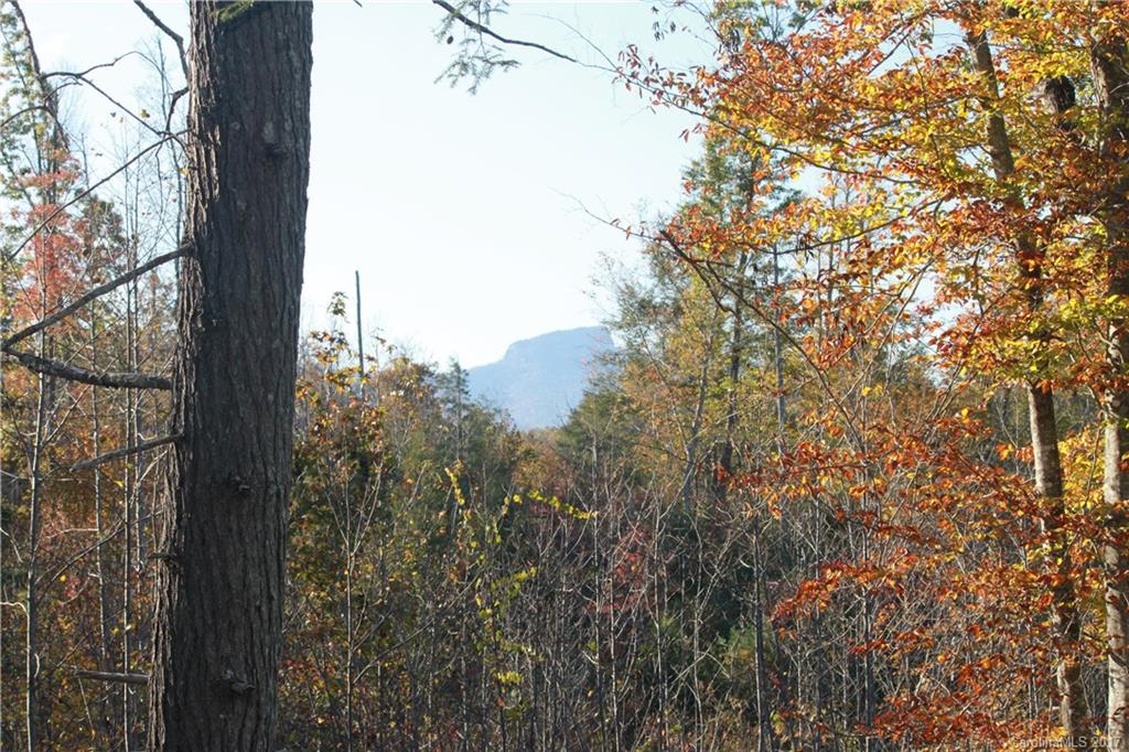 3539 Rambling Road, Unit 2 Morganton, NC 28655 - Photo 9 of 24 Gallery Image 9