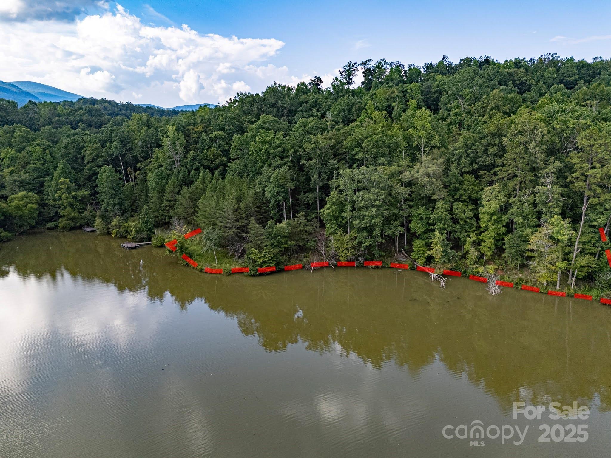 Tbd Tbd Parkway Rd Mill Spring North, Unit 3 Mill Spring, NC 28756 - Photo 11 of 29